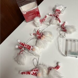 LED Christmas gnome ornaments.
 String Lights